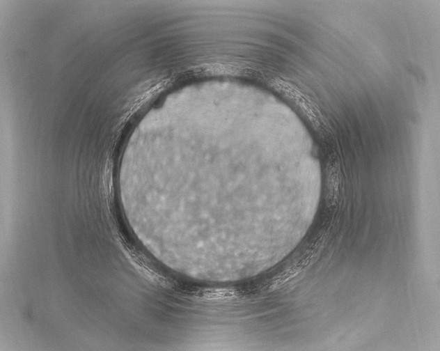 X0000115420398200912011331