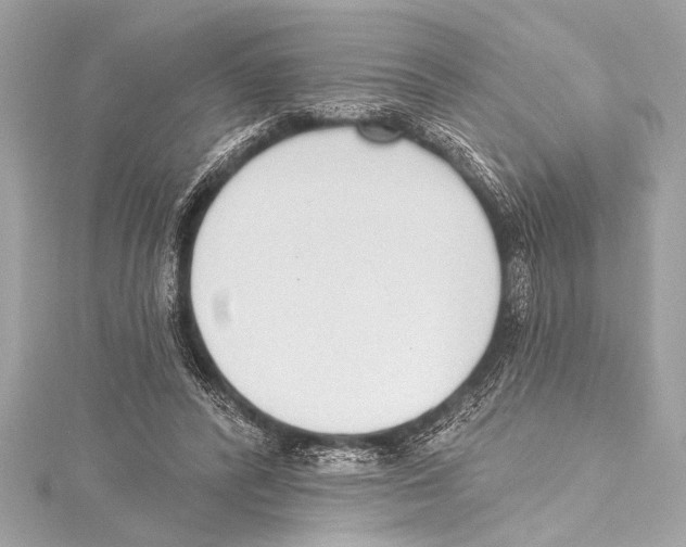 X0000115420400200912011330