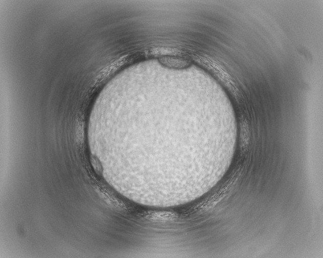 X0000115420401200912011330