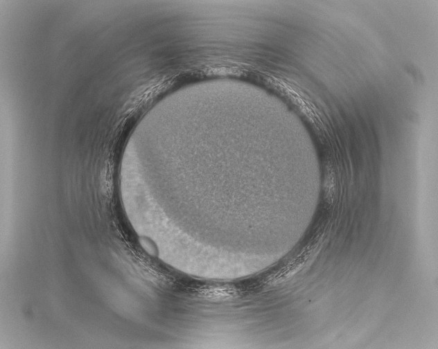 X0000115420402200912011330