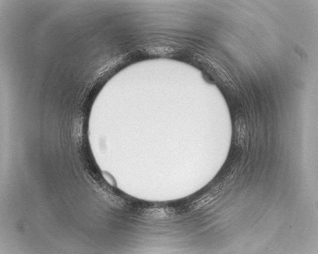 X0000115420404200912011330