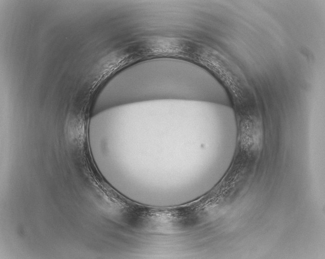 X0000115420405200912011330