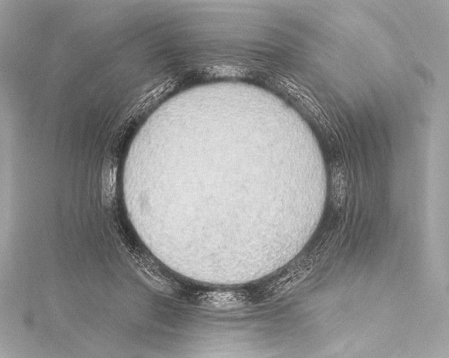 X0000115420406200912011330