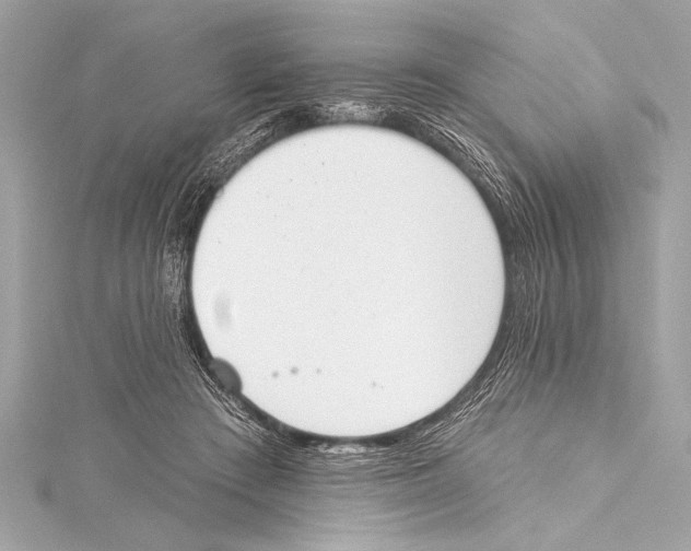 X0000115420409200912011330