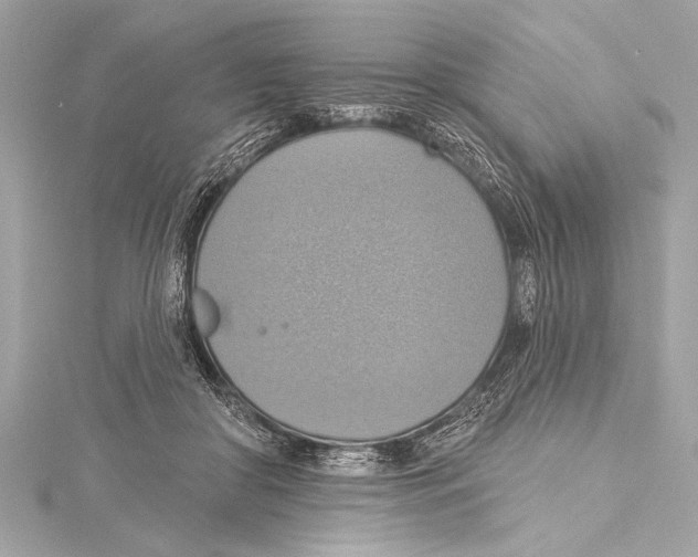 X0000115420410200912011330