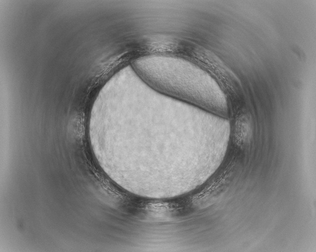 X0000115420413200912011330