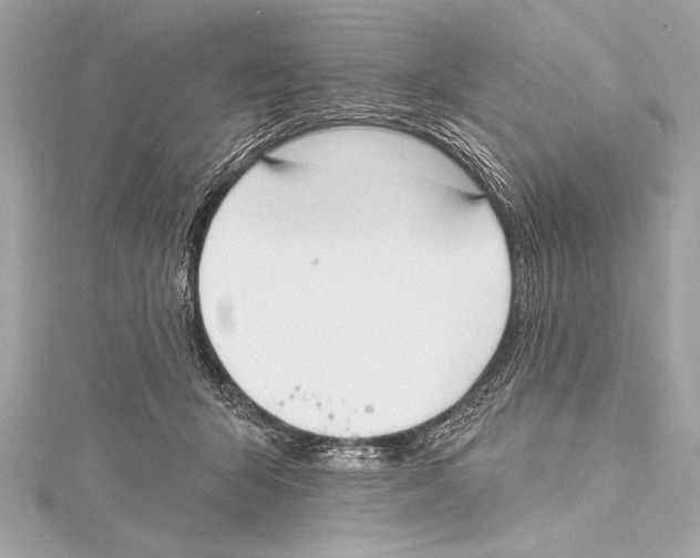 X0000115420415200912011330