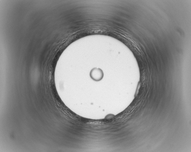 X0000115420417200912011330