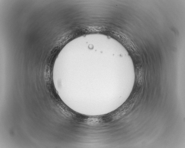 X0000115420418200912011330