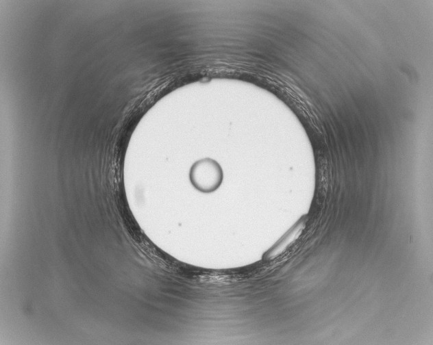 X0000115420419200912011330