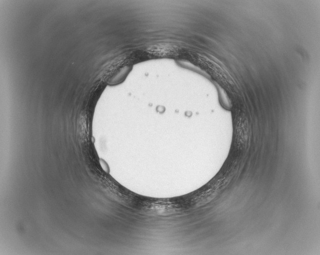 X0000115420420200912011330