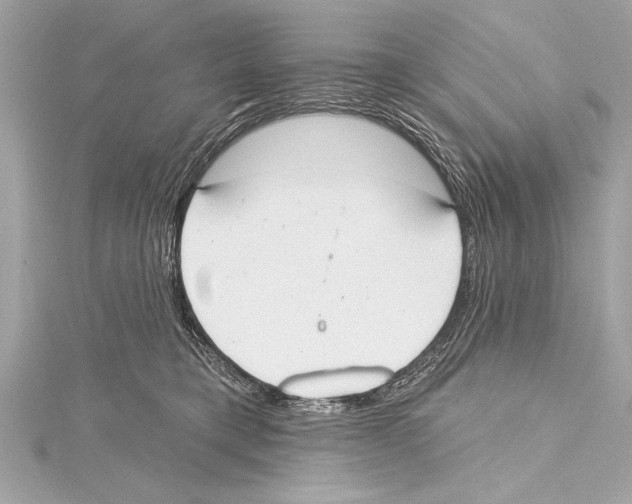 X0000115420421200912011330