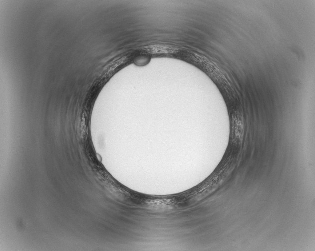 X0000115420422200912011330