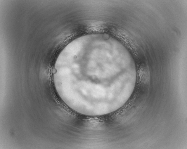 X0000115420423200912011330