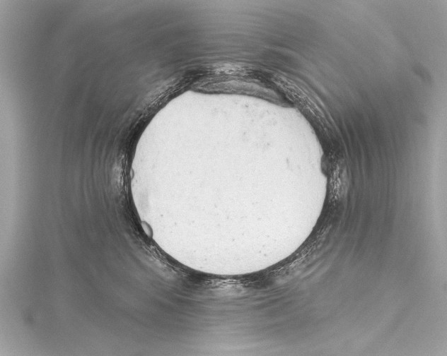 X0000115420424200912011330