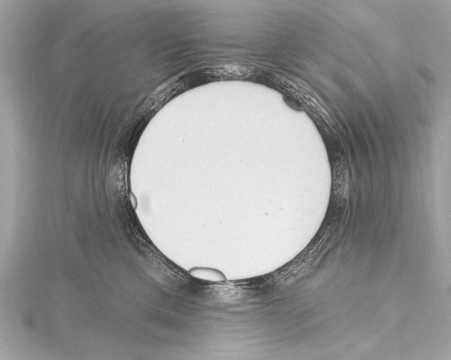 X0000115420425200912011330