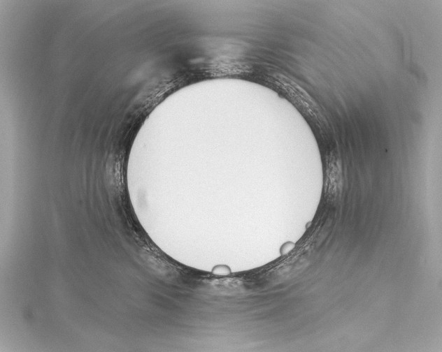 X0000115420426200912011330