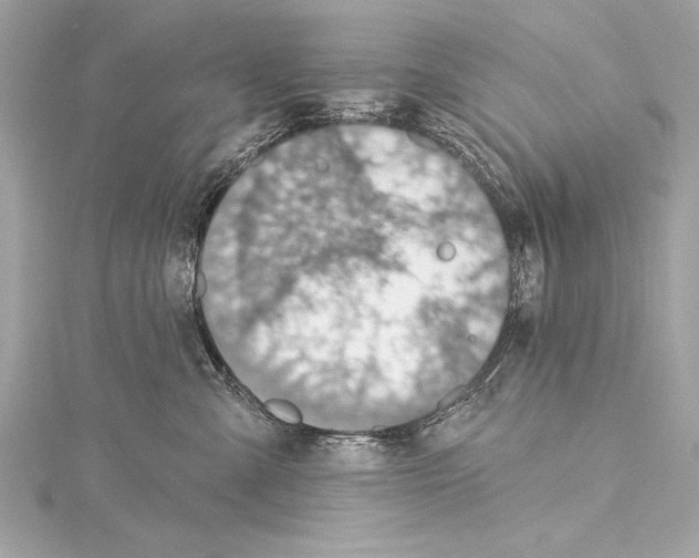 X0000115420427200912011330