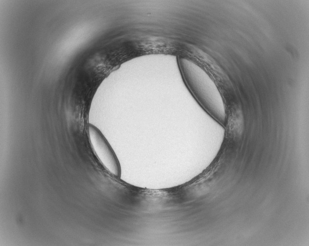 X0000115420429200912011330