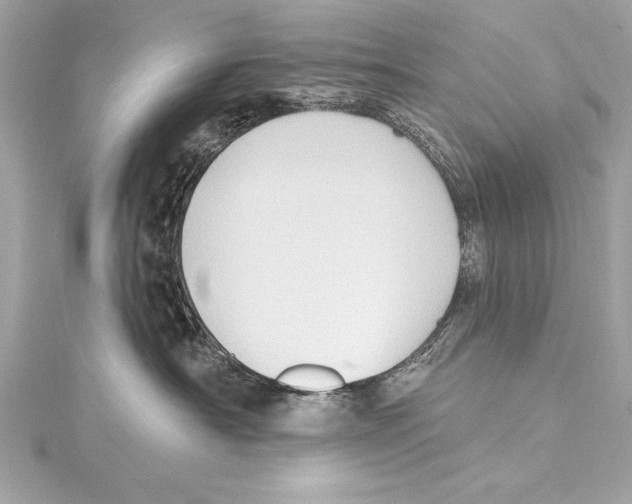 X0000115420430200912011330