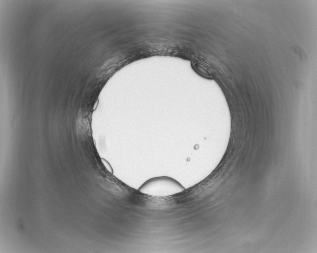 X0000115420432200912011330