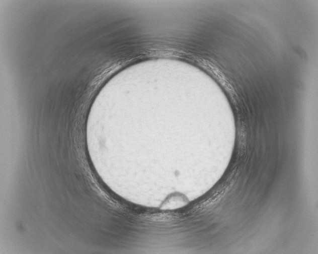 X0000115420433200912011329