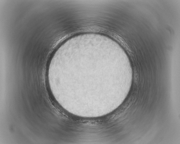 X0000115420434200912011329