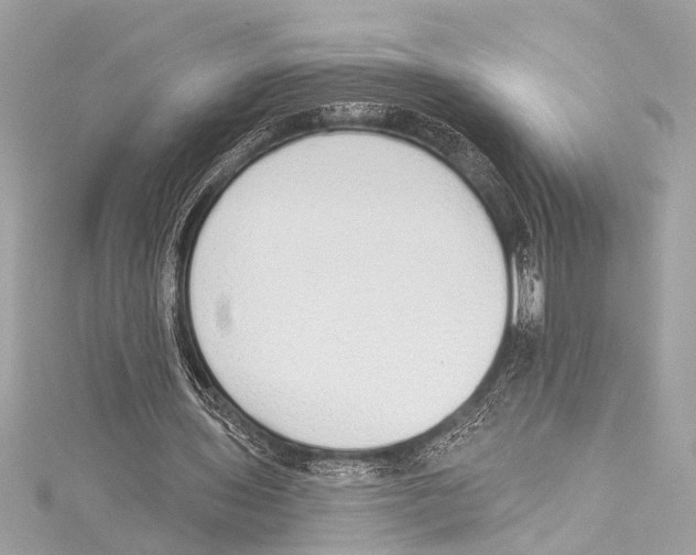 X0000115420435200912011329