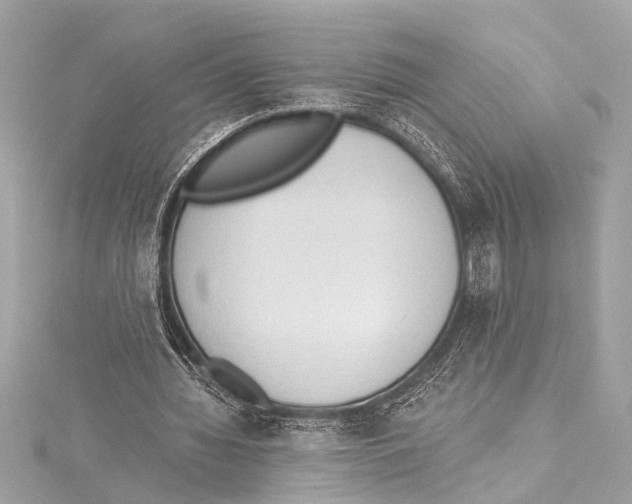 X0000115420436200912011329