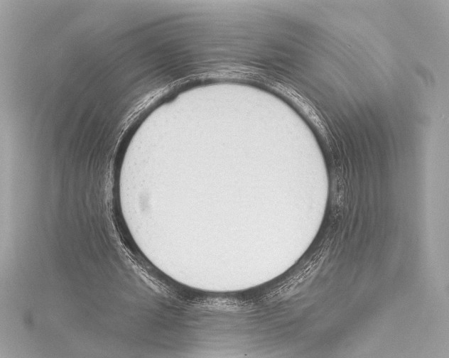 X0000115420437200912011330