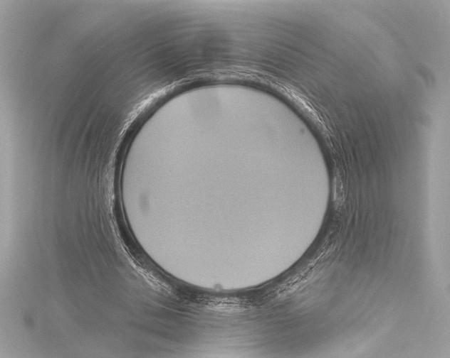 X0000115420438200912011330