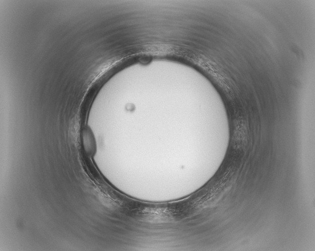 X0000115420440200912011330