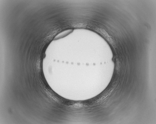 X0000115420441200912011330