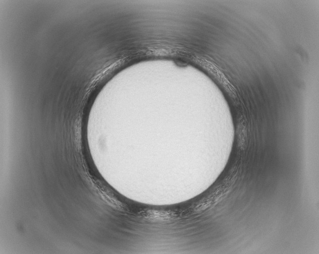 X0000115420442200912011330