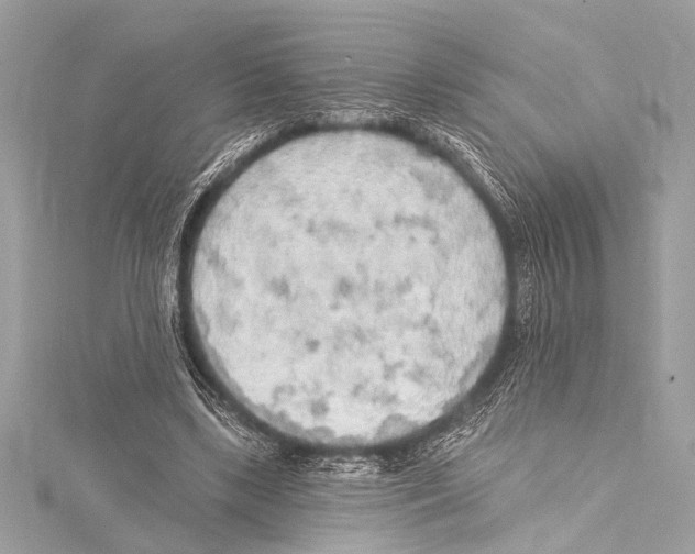 X0000115420443200912011330