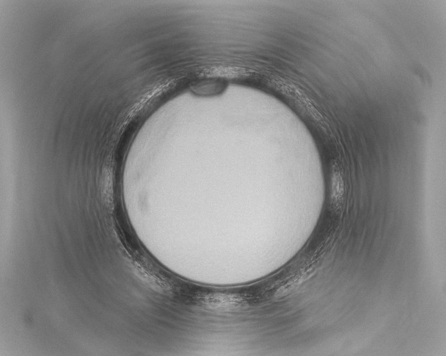 X0000115420444200912011330