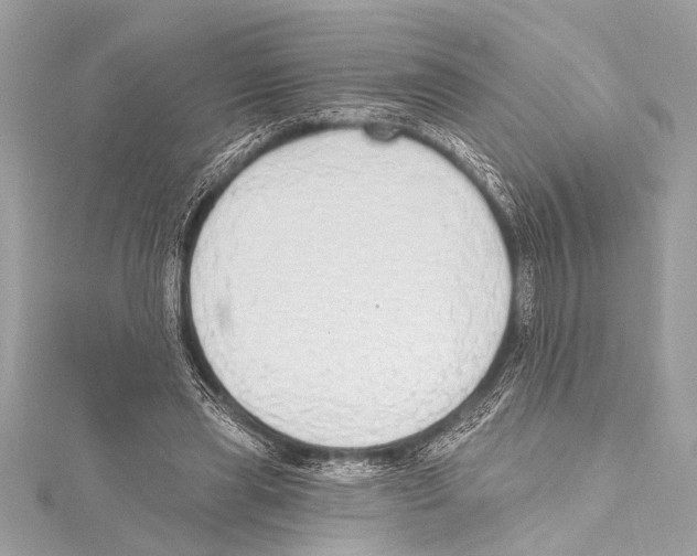 X0000115420445200912011330