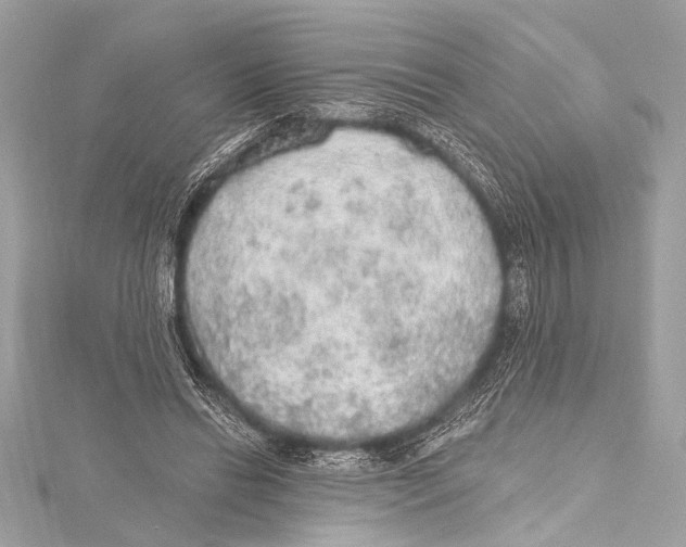 X0000115420446200912011330