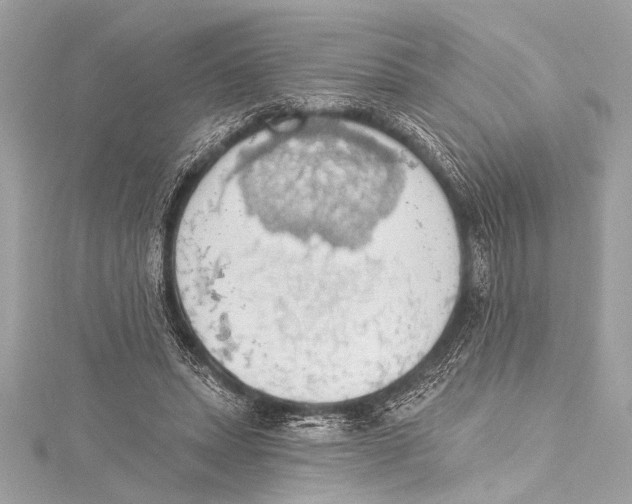 X0000115420447200912011330