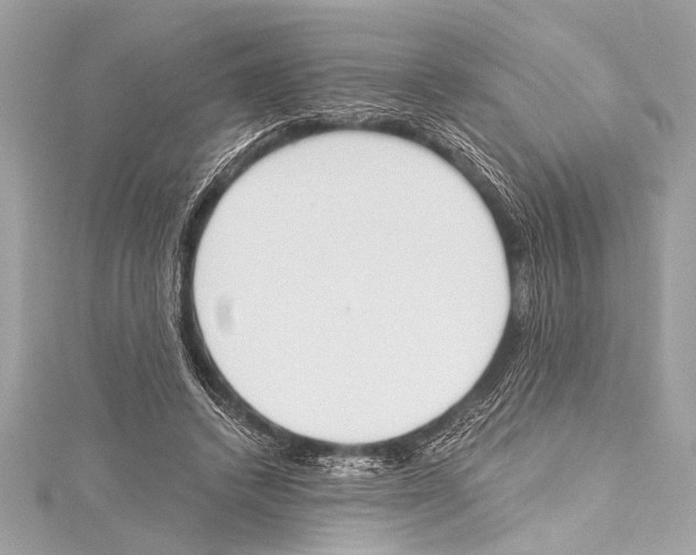 X0000115420448200912011330