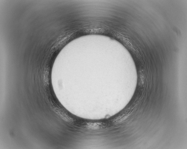 X0000115420450200912011330