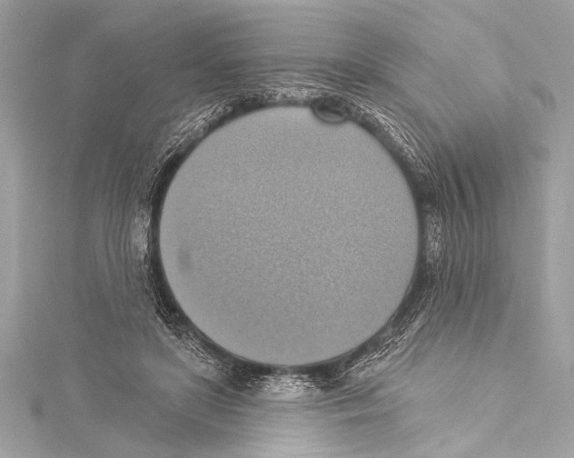 X0000115420451200912011330