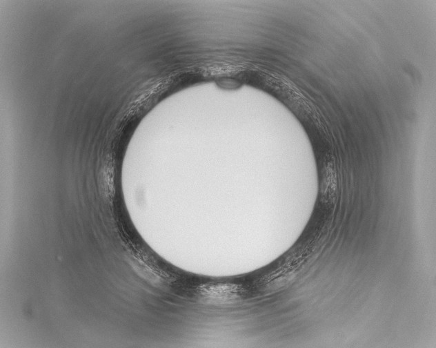 X0000115420452200912011330