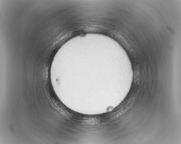 X0000115420454200912011330