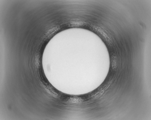 X0000115420455200912011330