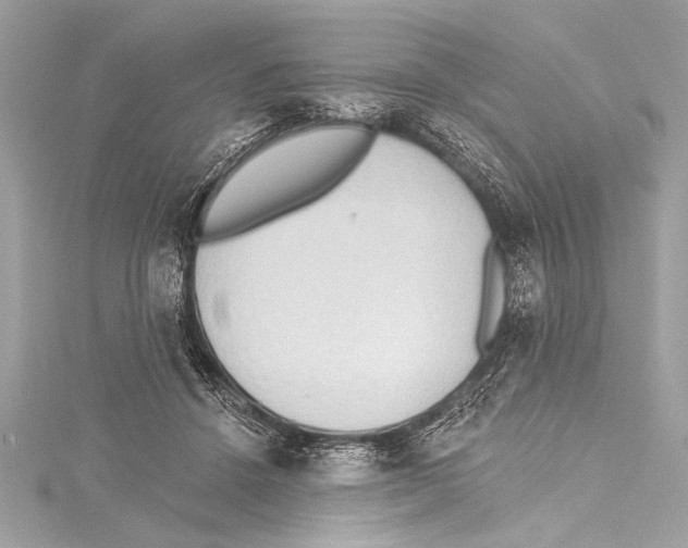 X0000115420456200912011330