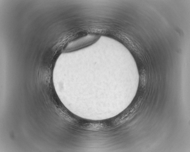 X0000115420458200912011330