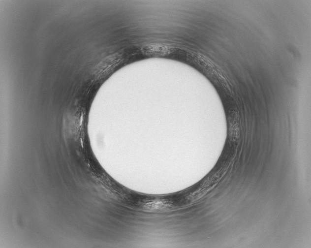 X0000115420460200912011330