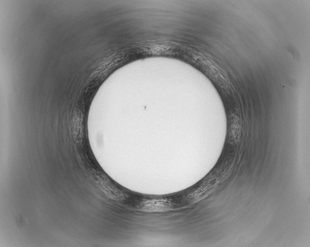 X0000115420461200912011330