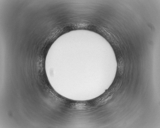 X0000115420462200912011330